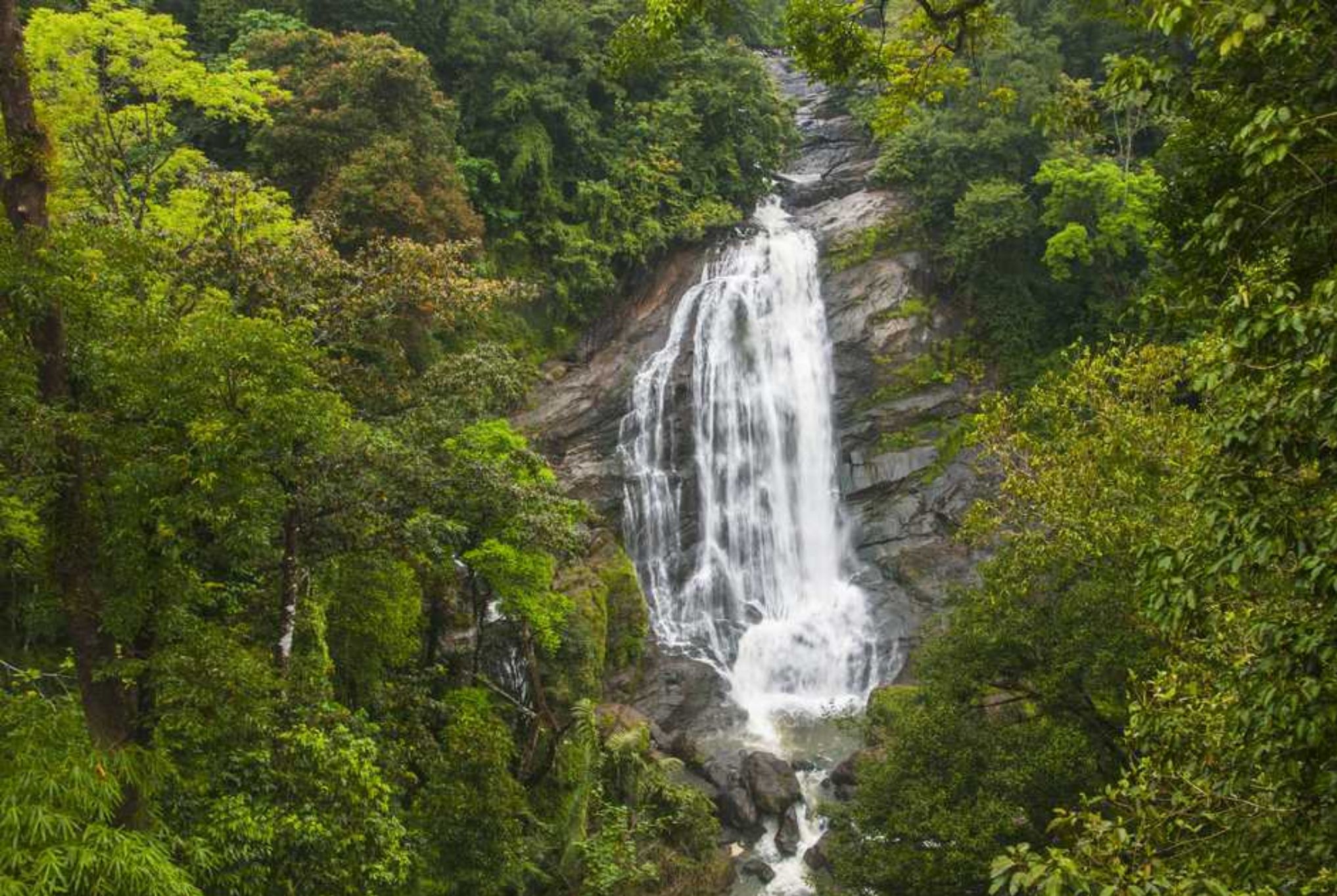 Attukad Waterfalls in Munnar, Kerala: A Beautiful Place to Relax and ...